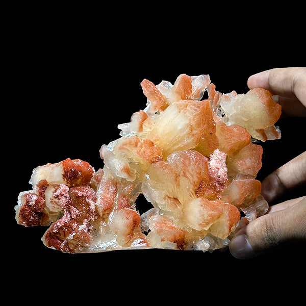 Phoenix Stilbite Natural Mineral Specimen G #0586