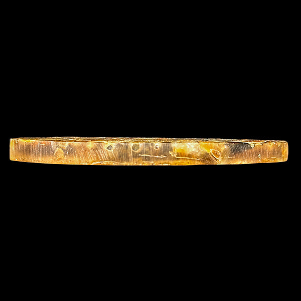 Ammonite Cluster Plate (Polished) Mineral Specimen G #0583