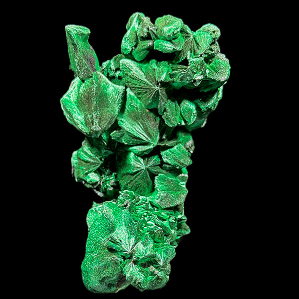 Velvet Malachite Natural Mineral Specimen. G #0584