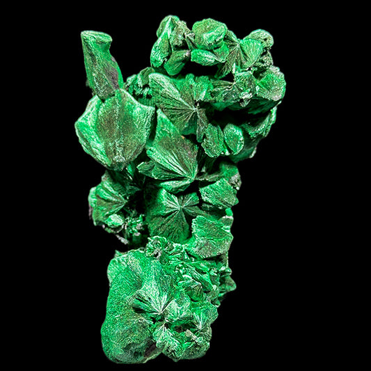Velvet Malachite Natural Mineral Specimen. G #0584