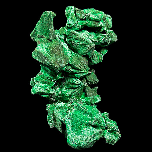 Velvet Malachite Natural Mineral Specimen. G #0584