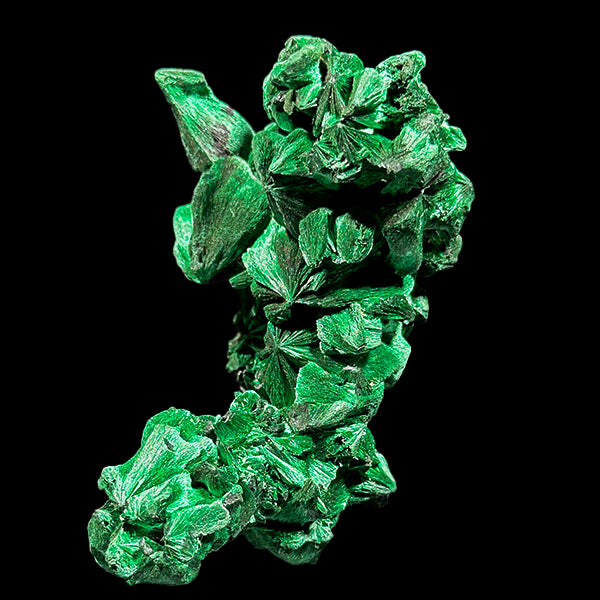 Velvet Malachite Natural Mineral Specimen. G #0584