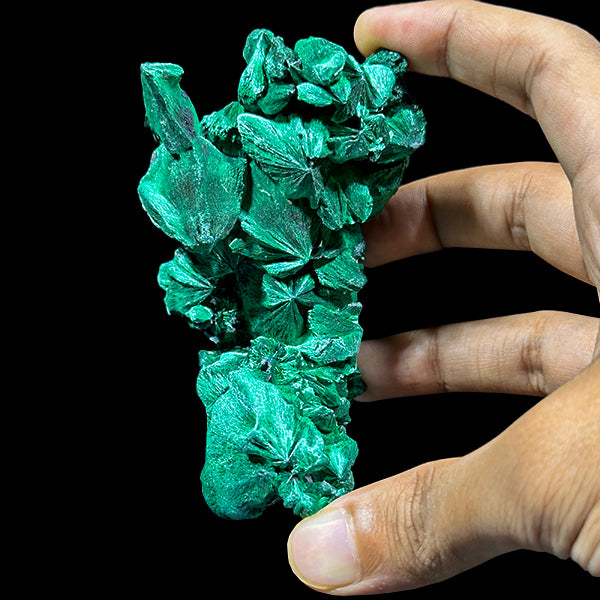 Velvet Malachite Natural Mineral Specimen. G #0584