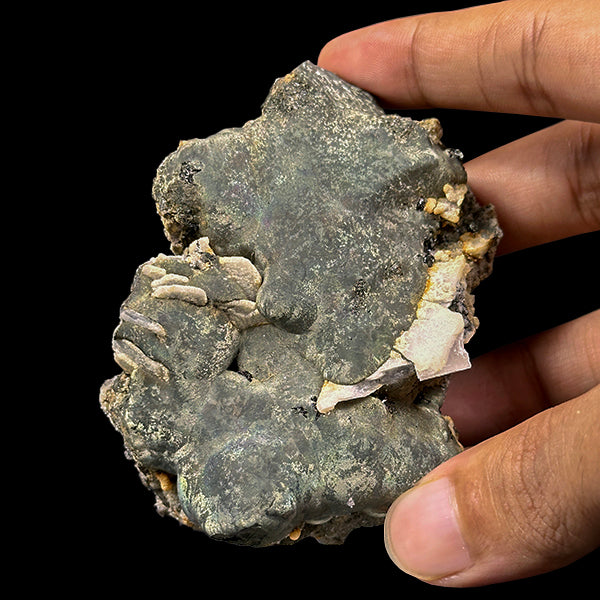 Irrediscent Pyrite With Calcite & Babingtonite Natural Mineral Specimen. G #0599