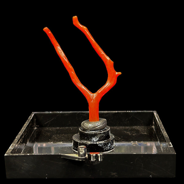 Red Coral Natural Mineral Specimen. G #0604