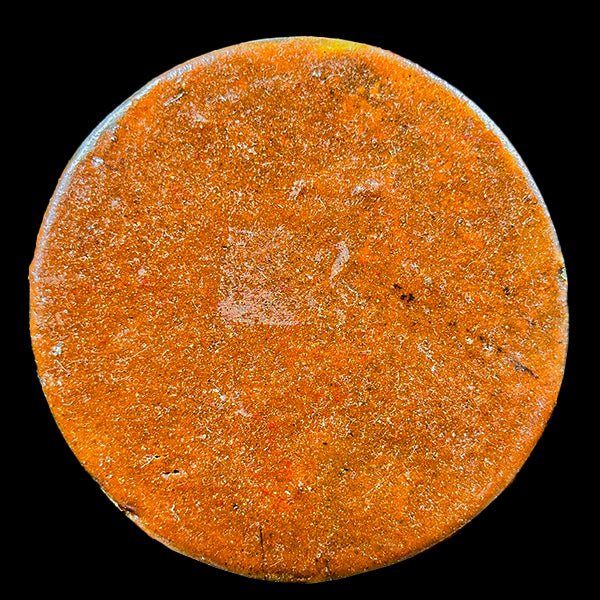 Ammonite Cluster Plate (Polished) Mineral Specimen G #0611
