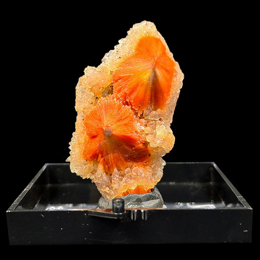 Sunflower Scolecite With Chalcedony Natural Minaral Specimen G #0612