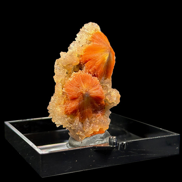 Sunflower Scolecite With Chalcedony Natural Minaral Specimen G #0612