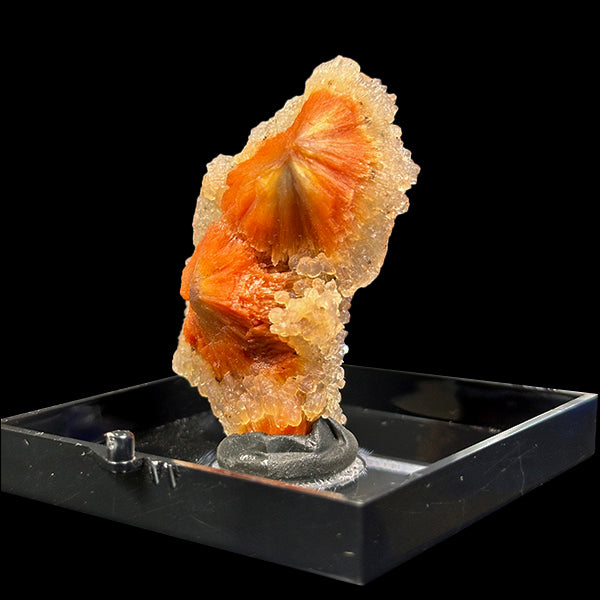 Sunflower Scolecite With Chalcedony Natural Minaral Specimen G #0612