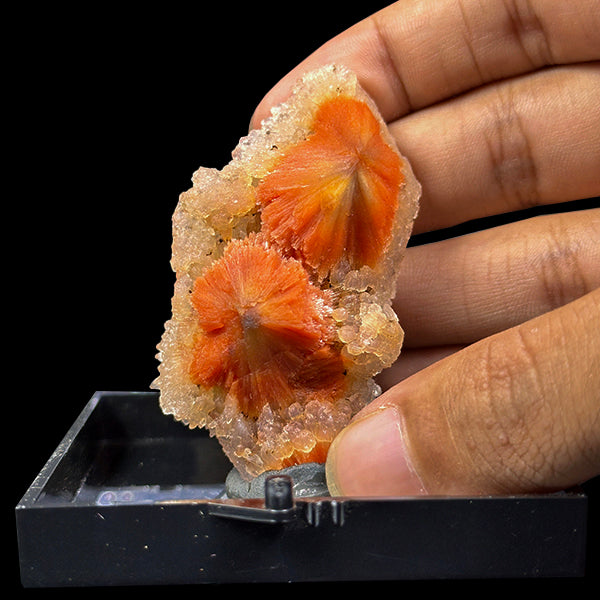 Sunflower Scolecite With Chalcedony Natural Minaral Specimen G #0612