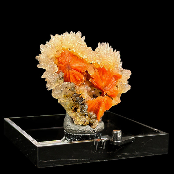 Sunflower Scolecite With Chalcedony Natural Minaral Specimen G #0615