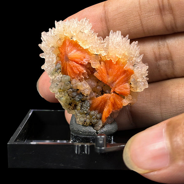 Sunflower Scolecite With Chalcedony Natural Minaral Specimen G #0615
