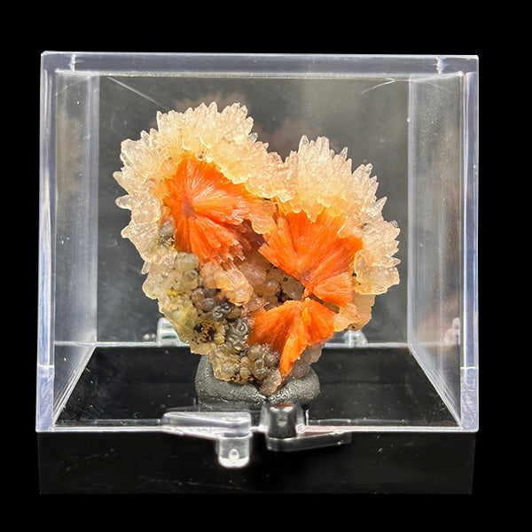Sunflower Scolecite With Chalcedony Natural Minaral Specimen G #0615