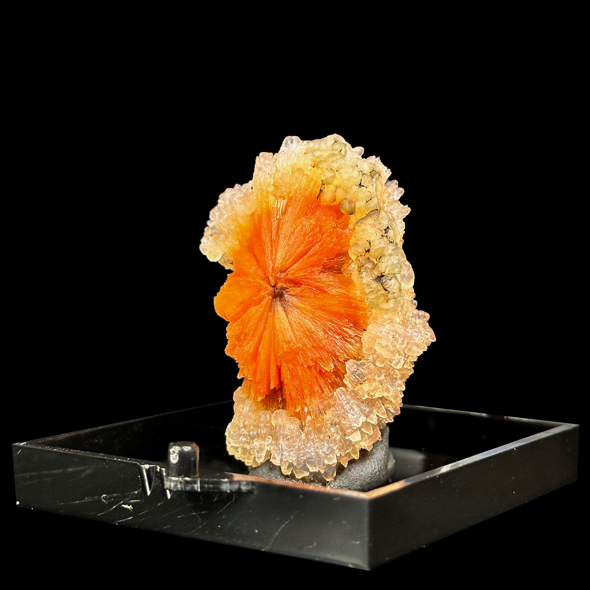 Sunflower Scolecite With Chalcedony Natural Minaral Specimen G #0630