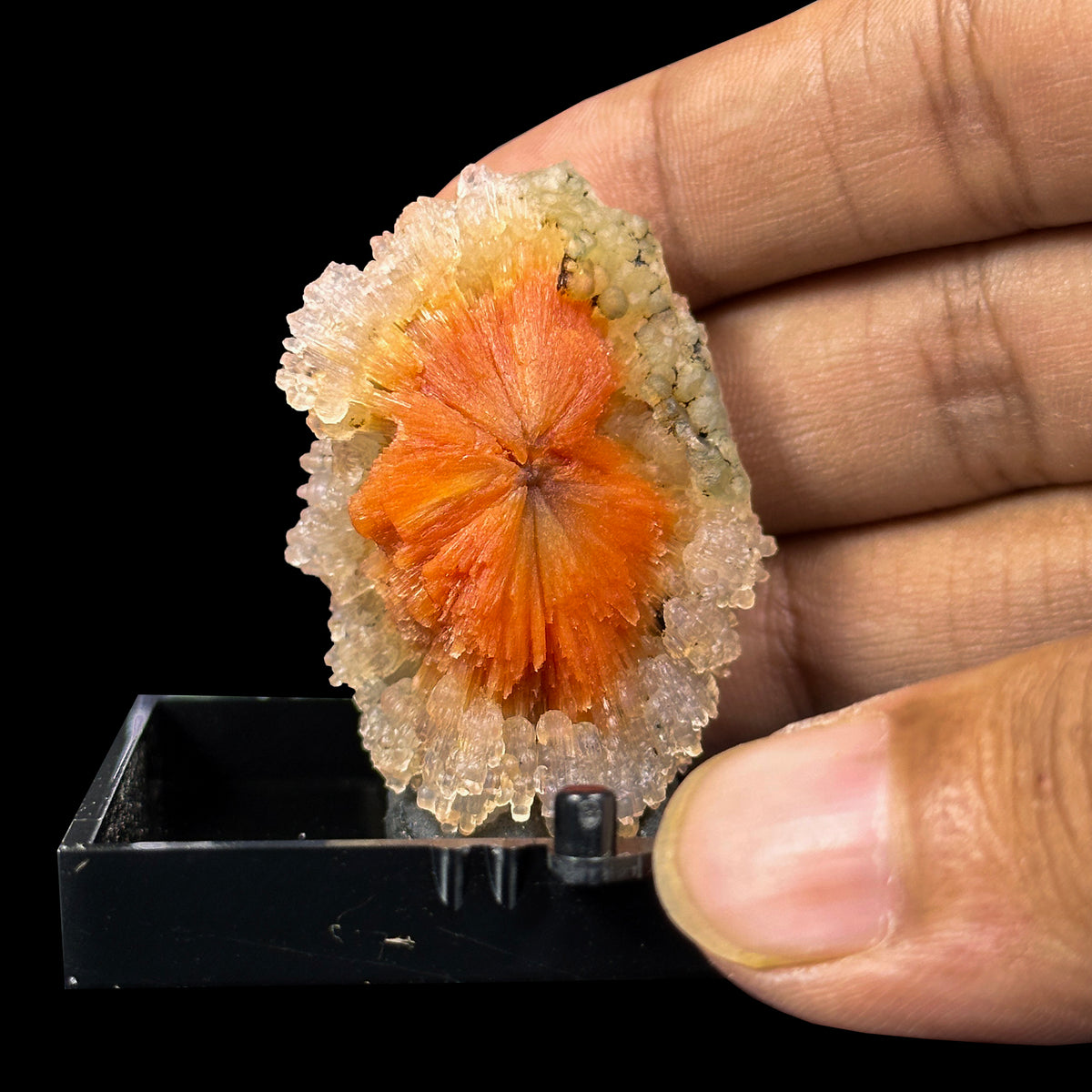 Sunflower Scolecite With Chalcedony Natural Minaral Specimen G #0630