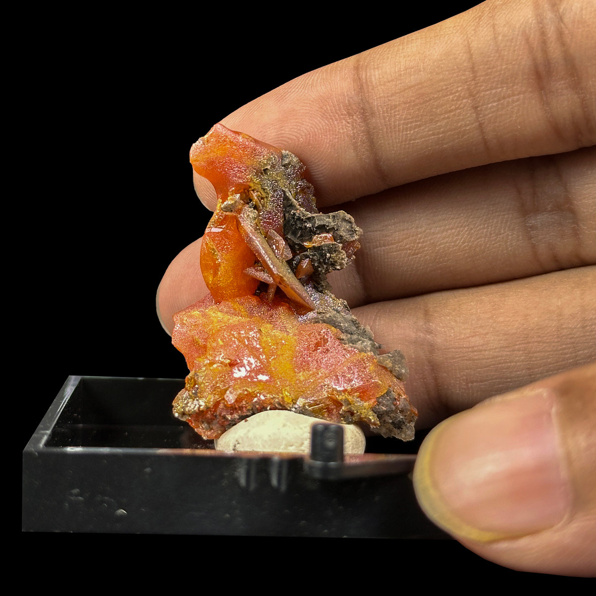 Rare Red Wulfenite Natural Mineral Specimen. G #0626