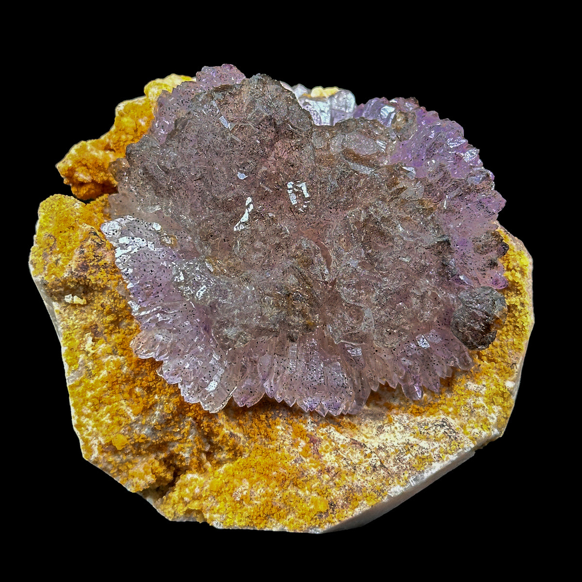 Perfect Septor Amethyst On Matriz Feldspar Natural Minaral Specimen G #0633