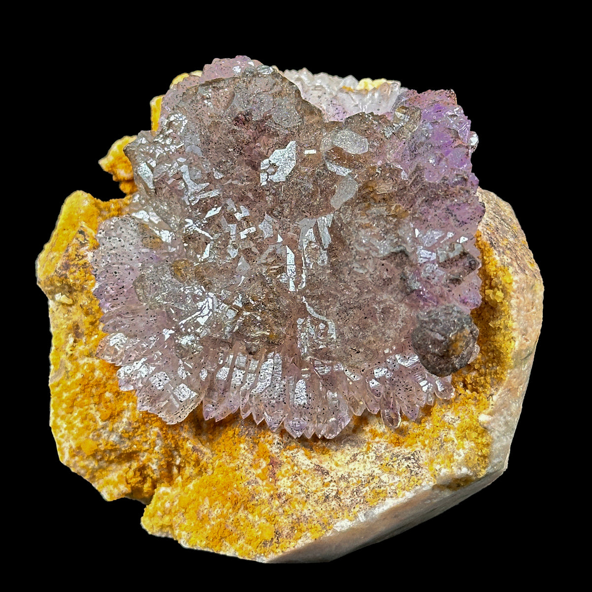 Perfect Septor Amethyst On Matriz Feldspar Natural Minaral Specimen G #0633