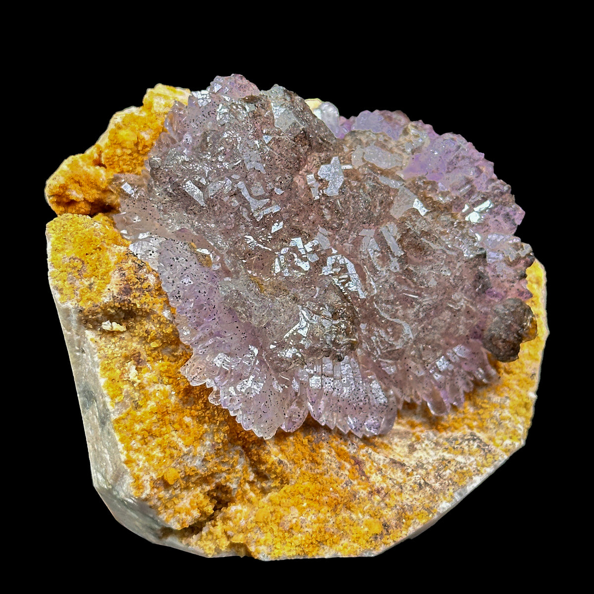 Perfect Septor Amethyst On Matriz Feldspar Natural Minaral Specimen G #0633