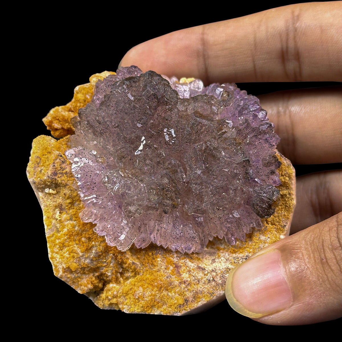 Perfect Septor Amethyst On Matriz Feldspar Natural Minaral Specimen G #0633