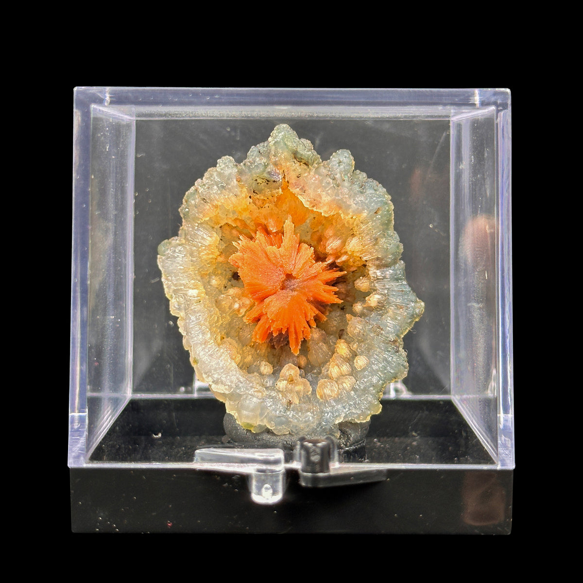 Sunflower Scolecite With Chalcedony Natural Minaral Specimen G #0635