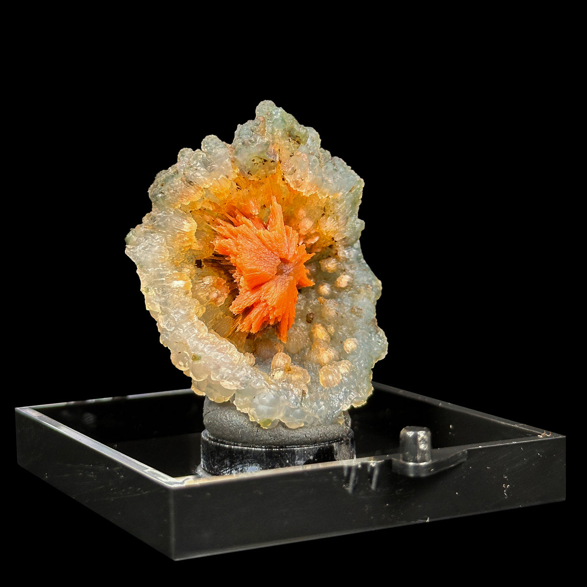 Sunflower Scolecite With Chalcedony Natural Minaral Specimen G #0635