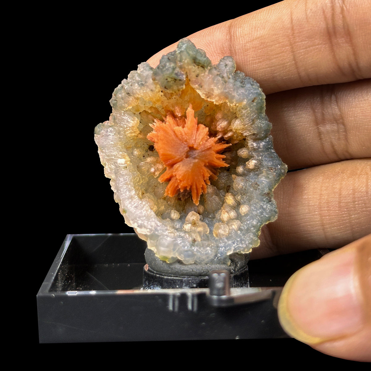 Sunflower Scolecite With Chalcedony Natural Minaral Specimen G #0635