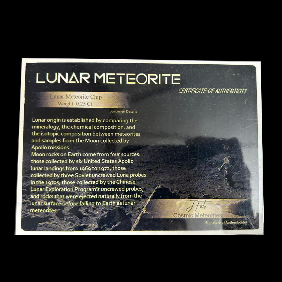 Lunar Meteorite Specimen  # G 0263