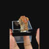 Rare Orange Wulfenite Natural Mineral Speciman G #0487