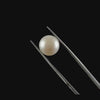 Fresh Water Cultured Pearl 4.86 CT. G #0536