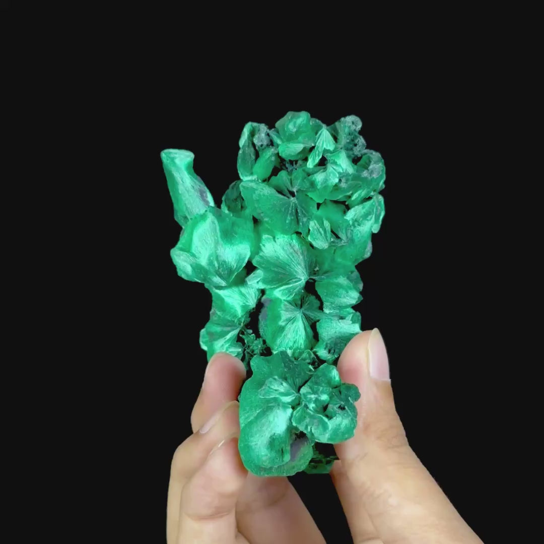 Velvet Malachite Natural Mineral Specimen. G #0584
