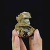 Barite With Hematite Natural Mineral Specimen. G #0473