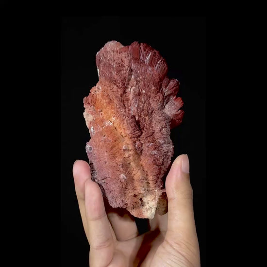 Red Paper Stilbite Natural Mineral Specimen G #0575