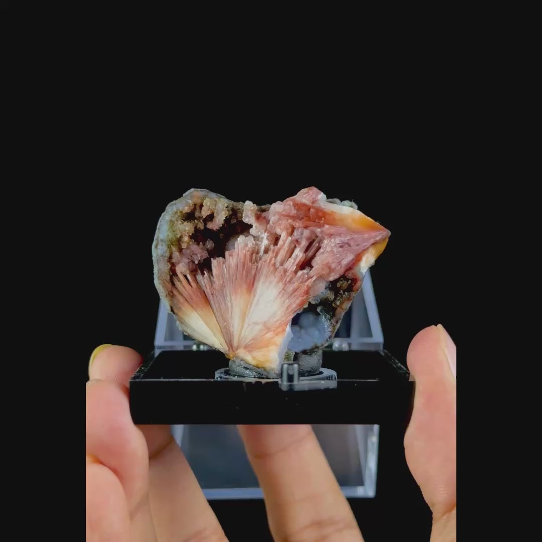 Scolecite With Chalcedony Natural Minaral Specimen G #0504