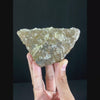 Fluorite Cluter (Highly UV Reactive) Natural Mineral Specimen. G #0357