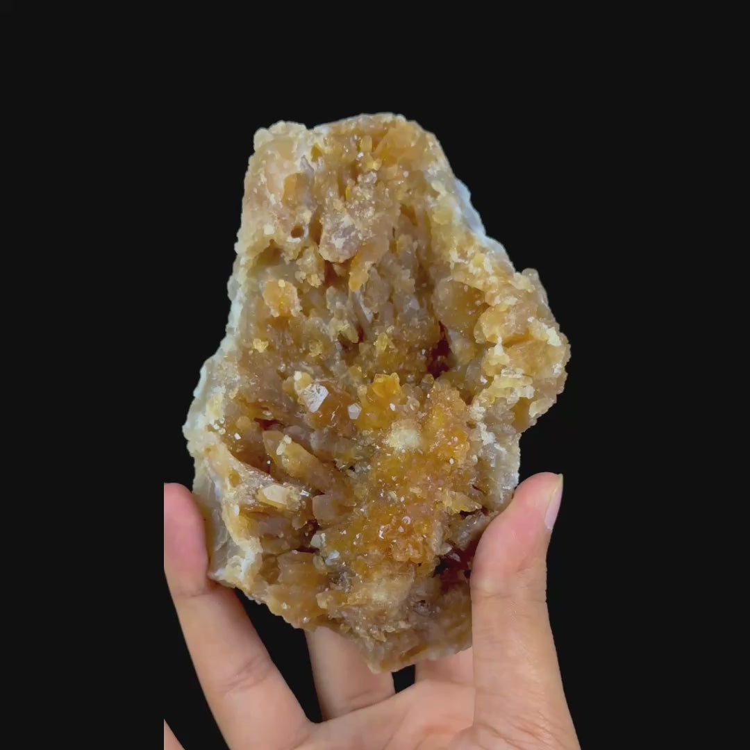 Citrine Cluster Natural Mineral Specimen. G #0552