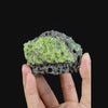 Peridot Cluster Natural Mineral Specimen. G #0477