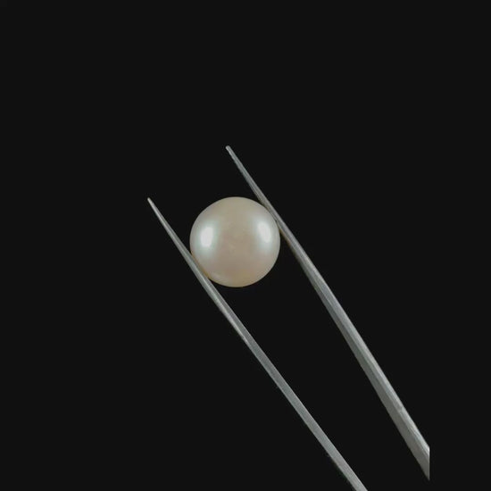 Fresh Water Cultured Pearl 17.25 CT. G #0561