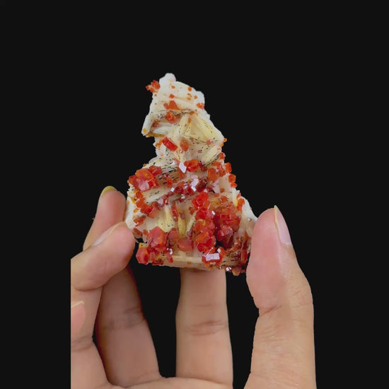 Vanadinite on Barite Natural Mineral Specimen G #0544
