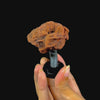 Barite Rose Mineral Specimen G #0564