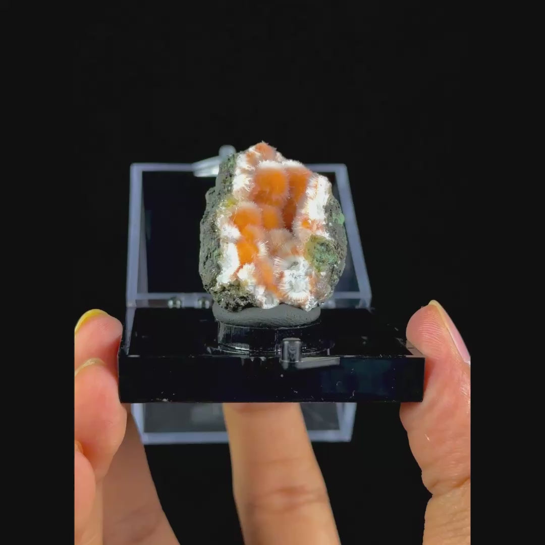 Thomsonite With Mesolite Natural Mineral Specimen. G #0542
