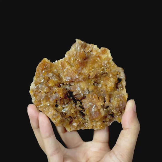 Citrine Cluster Natural Mineral Specimen. G #0578