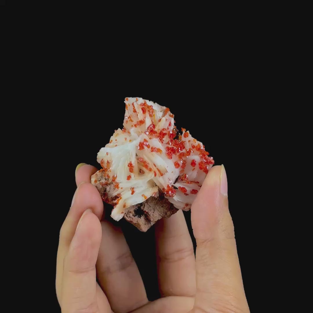 Vanadinite on Barite Natural Mineral Specimen G #0550