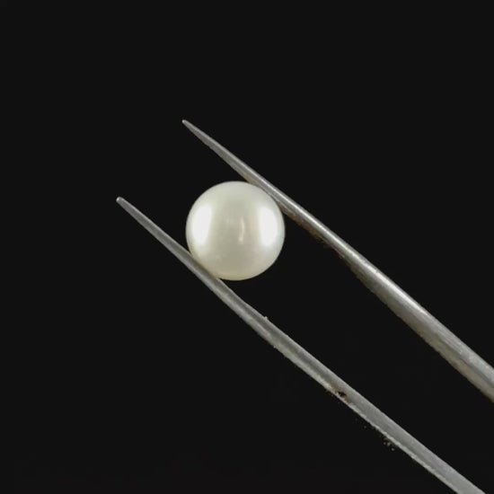 Fresh Water Cultured Pearl 4.20 CT. G #0528