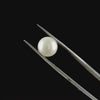 Fresh Water Cultured Pearl 4.20 CT. G #0528