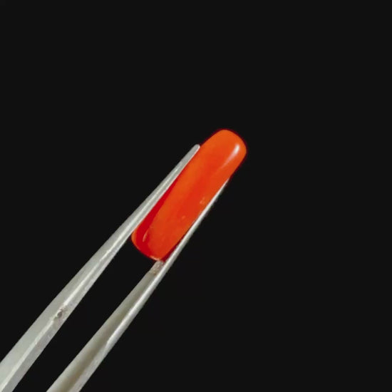 Natural Coral (Munga) Cut Stone 4.89 CT. G #0522