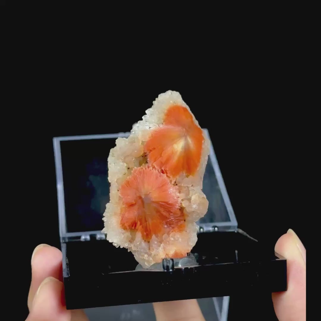 Sunflower Scolecite With Chalcedony Natural Minaral Specimen G #0612