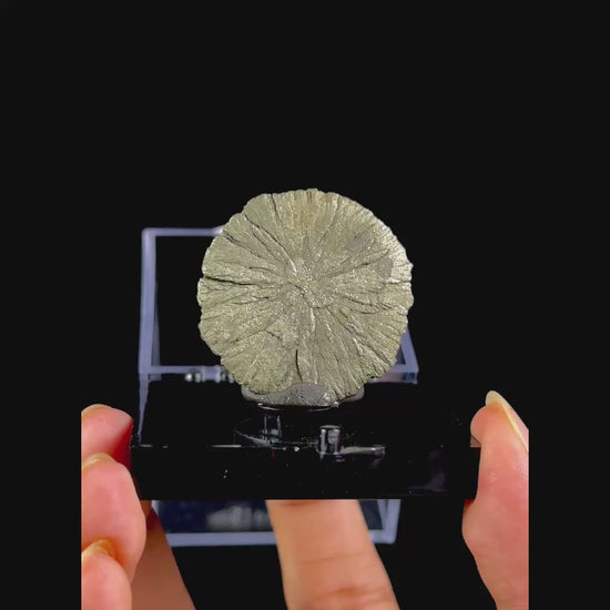 Golden Sheen Sun Pyrite Natural Mineral Specimen. G #0554