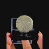 Golden Sheen Sun Pyrite Natural Mineral Specimen. G #0554