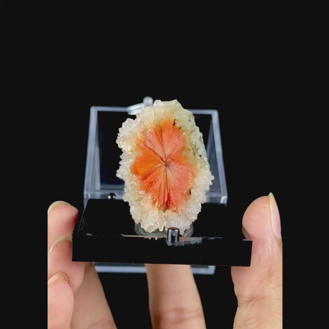 Sunflower Scolecite With Chalcedony Natural Minaral Specimen G #0630